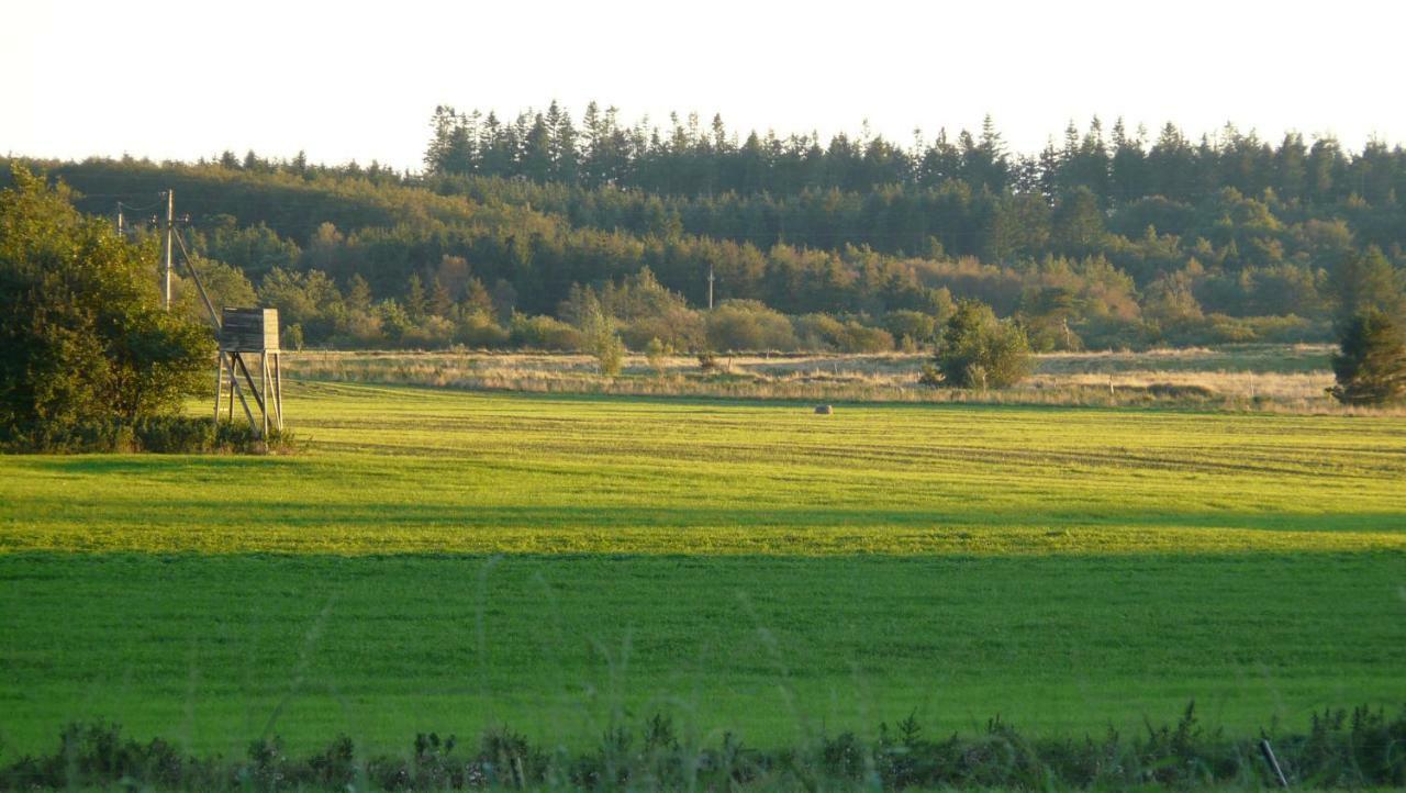 Lynggaard B&B Nibe Bagian luar foto